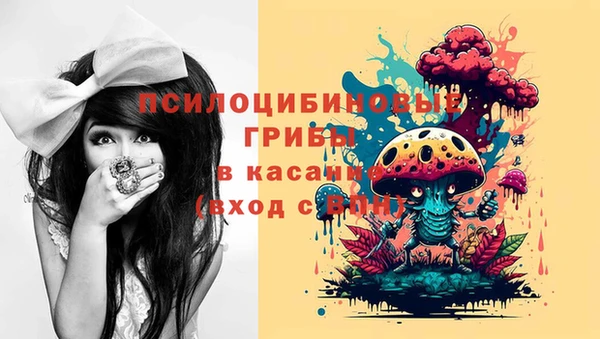 амф Абинск