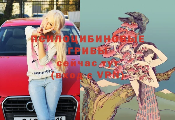 амф Абинск