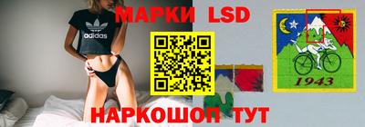 ешки Новокубанск