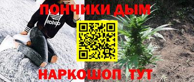 мдма Новодвинск