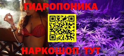 мдма Новодвинск