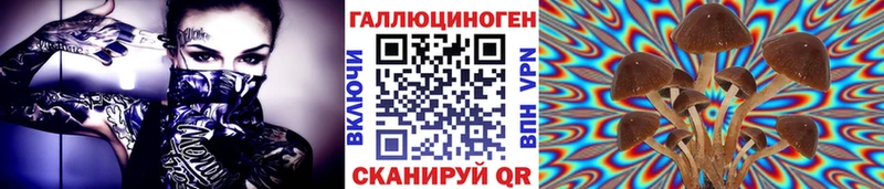Псилоцибиновые грибы MAGIC MUSHROOMS Скопин