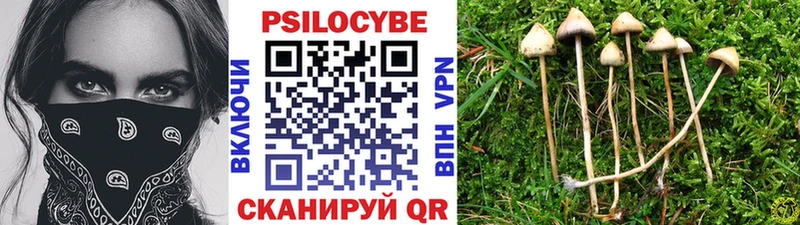 Галлюциногенные грибы Cubensis  Скопин 