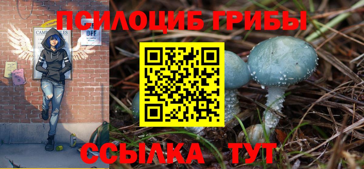 Псилоцибиновые грибы MAGIC MUSHROOMS  Вход с VPN  Скопин 