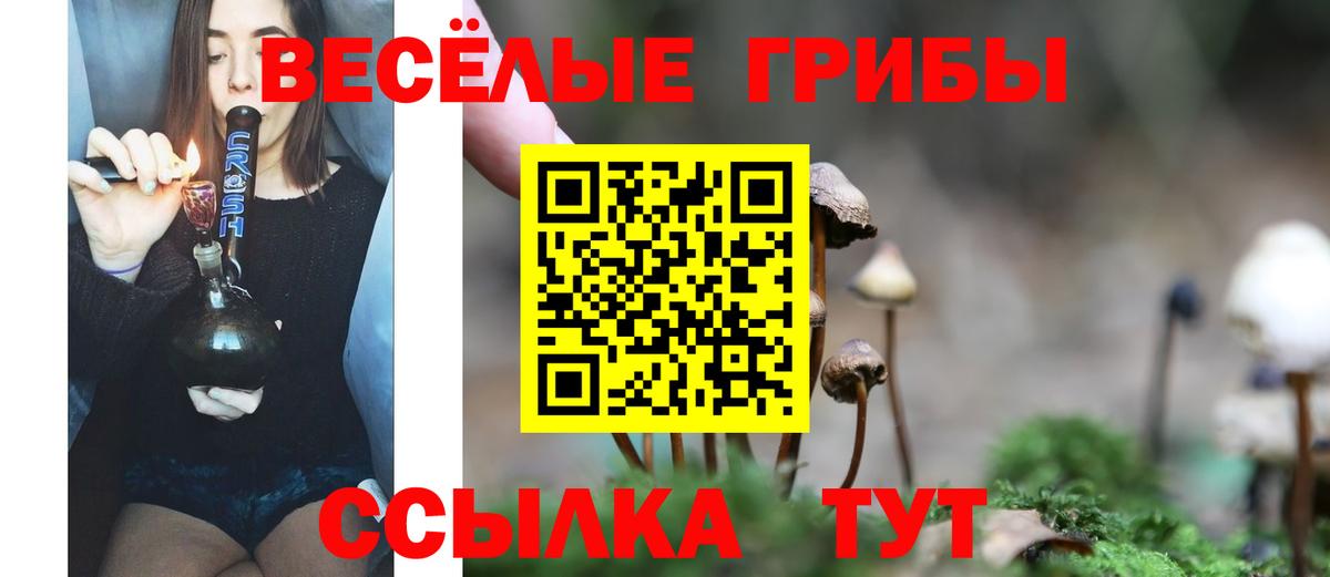 Галлюциногенные грибы MAGIC MUSHROOMS Скопин